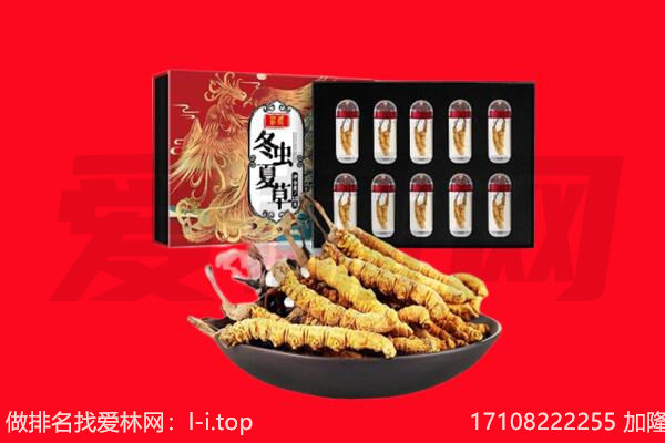 许昌市长葛回收虫草.jpg